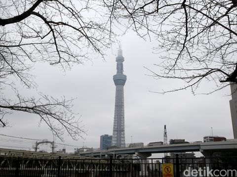 Visa Jepang untuk Bisa Berkunjung ke Negeri Sakura