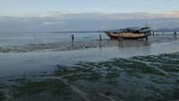 Foto: Selain itu, ada yang sibuk berkejar-kejaran di pesisir pantai. Ada juga warga yang mencari kerang untuk kemudian dijual (Kurnia/detikTravel)
