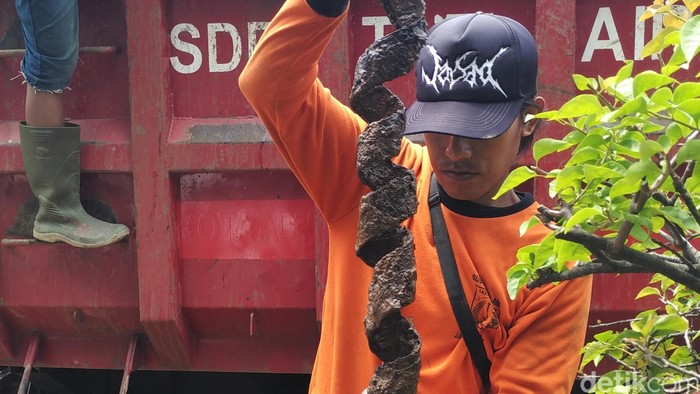 Petugas Sempat Mengira Bungkus Kabel di Gorong-gorong Ular Besar