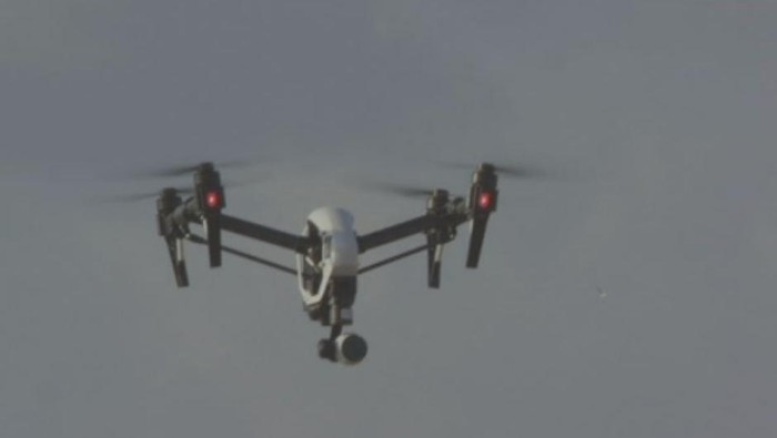 Peneliti Gunakan Drone untuk Selamatkan Habitat Penyu di Queensland