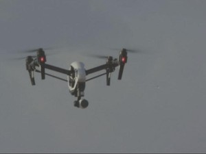 Peneliti Gunakan Drone untuk Selamatkan Habitat Penyu di Queensland