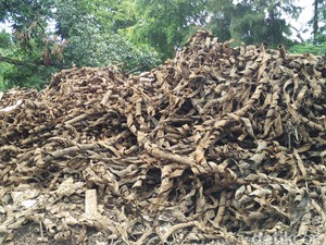 Ini Penampakan Bungkus Kabel Setinggi 2 Meter di Penampungan Benhil