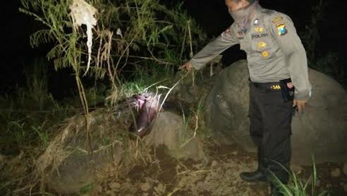 Warga Dihebohkan Mayat Wanita Tanpa Kepala di Tepi Sungai