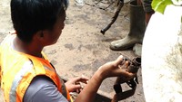 Petugas mengambil bungkus kabel yang menyumbat saluran air.