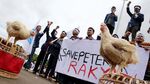 Harga Ayam Anjlok, Peternak Demo