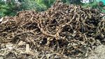 Penampakan Bungkus Kabel di Penampungan Benhil