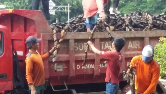 Ahok Minta Jajarannya Selidiki Temuan Bungkus Kabel di Gorong-gorong