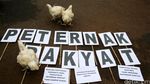 Harga Ayam Anjlok, Peternak Demo