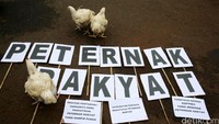 Beberapa ekor ayam dilepas di sekitar poster-poster tuntutan.