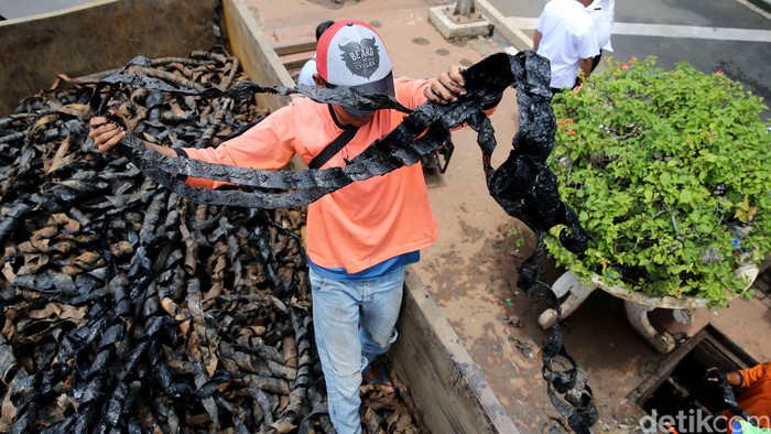 Pasukan Biru Gandeng Marinir untuk Cek Saluran Air di Depan Istana