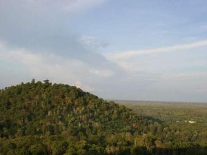 Ini 10 Destinasi Liburan Menarik di Palangkaraya, Cocok bagi Pencinta Alam