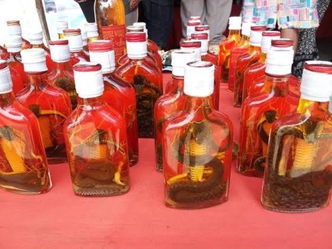 5 Oleh-oleh Ajaib dari Berbagai Belahan Dunia