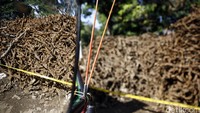 Sampah bungkus kabel ditemukan sejak 24 Februari 2016.