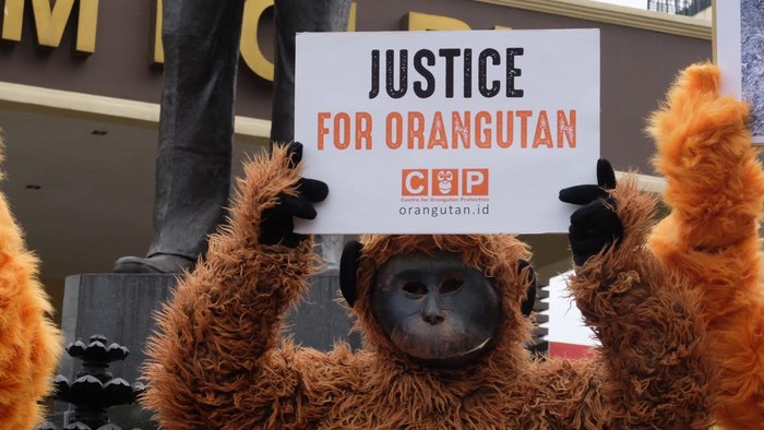 Polri Diminta Usut Matinya 3 Orangutan di Bontang