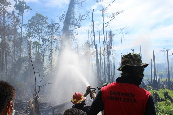 Kebakaran Lahan  di Dumai Meluas, Status akan Ditingkatkan Siaga Darurat