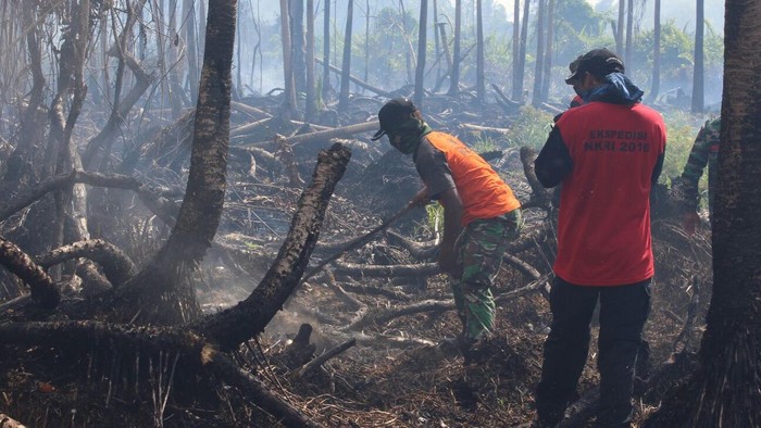 Menhut: Kebakaran Hutan dan Lahan Ditangani Operasi Terpadu