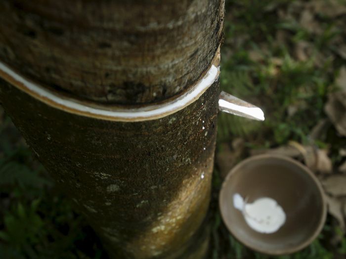 Foto: Reuters Foto: Reuters