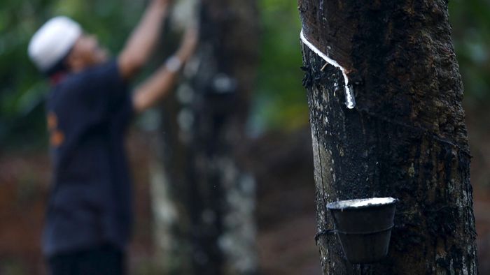 Foto: Reuters Foto: Reuters