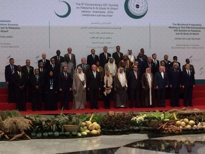 Menlu RI: Tiada Satu pun Negara yang Bisa Selesaikan Konflik Palestina Sendiri