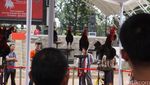 Kontes Ayam Ketawa Tingkat Nasional di Purwakarta