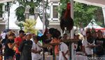 Kontes Ayam Ketawa Tingkat Nasional di Purwakarta