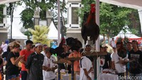 Sekitar 200 peserta dari seluruh penjuru Indonesia turut memeriahkan kontes yang mempertandingkan ayam dengan durasi berkokok terlama dan terbanyak itu tepatnya di Taman Surawisesa, Minggu (06/03/2016).