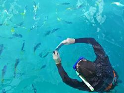 Potret Memukau Keajaiban Alam dengan Ponsel Lumia