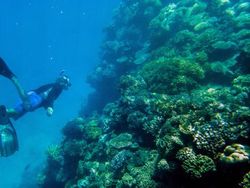 Potret Memukau Keajaiban Alam dengan Ponsel Lumia