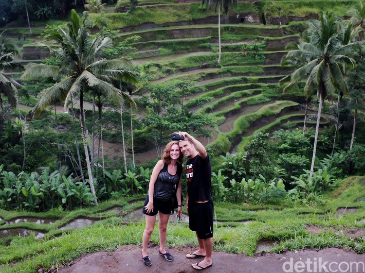 Pemandangan Sawah di Ubud yang Dicomot Video Wisata Filipina