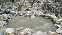 Foto: Kawah Domas buka dari pukul 07.00 pagi hingga 15.30 wib. Untuk menuju ke sini traveler mesti trekking menyusuri hutan selama kurang lebih 30 menit (Wahyu/detikTravel)