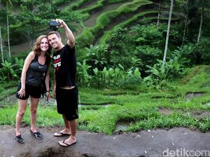 Imigrasi: Ada 273 e-Visa Wisata WNA dari Oktober 2021-Januari 2022