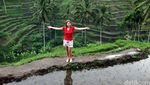Pemandangan Sawah di Ubud yang Dicomot Video Wisata Filipina