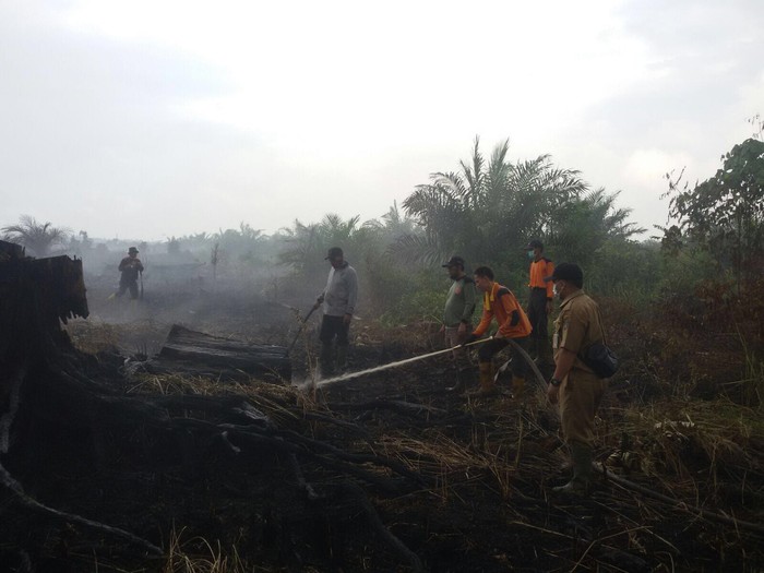 Api yang Membakar Lahan di Sekitar Bandara Dumai Mulai Padam