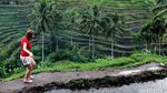 Pemandangan Sawah di Ubud yang Dicomot Video Wisata Filipina