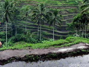 Mau liburan Bersama Sahabat, Paling Asyik ke 5 Destinasi Ini