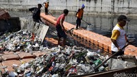 Sampah-sampah itu dibersihkan agar aliran sungai lancar.