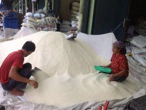 Lawan Spekulan Beras, Pemerintah Bisa Pakai Jurus Ini