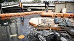 Kali Sentiong Dibersihkan
