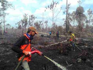 BNPB: Kebakaran Lahan Terus Meningkat, Penyebabnya Sengaja Dibakar