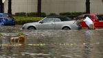 Banjir Rendam Dubai