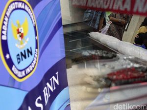 JK Setuju BNN Setara dengan Kementerian: Kewenangannya Lebih Tinggi!
