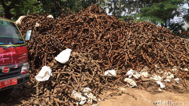 Tumpukan kabel yang ditemukan di saluran air di Benhil pada awal 2016.