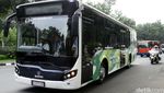 Ahok Jajal Bus Scania