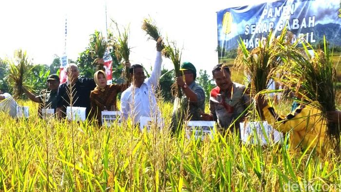 Ini Penjelasan Mentan Libatkan TNI Dalam Penjualan Padi