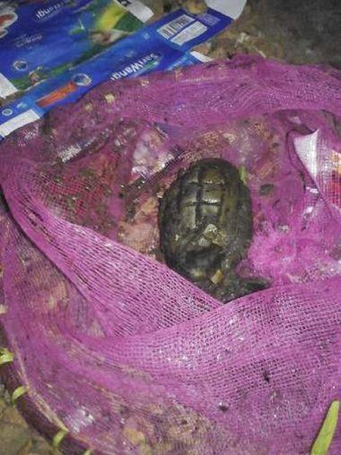 Ini Granat yang Ditemukan di PD Pasar Jaya Pasar Minggu