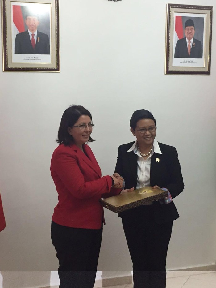 Dilarang Masuk Palestina, Menlu Retno: Upaya Israel Halangi RI Tidak Berhasil