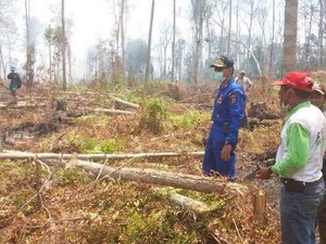 Petugas Kerja Keras Padamkan Kebakaran Lahan di Kabupaten Meranti Riau
