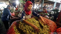 Sebagai perbandingan, harga pada Februari lalu cabai rawit masih dibanderol seharga Rp 26.000/kg di eceran dan Rp 13.000/kg di pasar induk, cabai merah besar dan keriting Rp 43.000/kg di eceran dan Rp 36.000/kg di pasar induk, dan bawang merah Rp 26.000/kg di eceran dan Rp 17.000/kg di pasar induk.