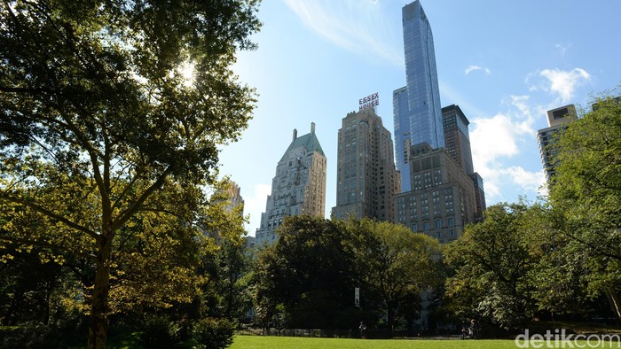 Central Park, New York City