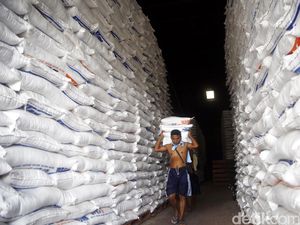 Harga Gabah di Sumsel Turun Rp 800/Kg